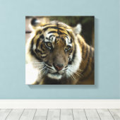 ベンガルトラ キャンバスプリント (インサイチュ (ウッドフロア))