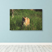 ベンガルトラ キャンバスプリント (インサイチュ (ウッドフロア))