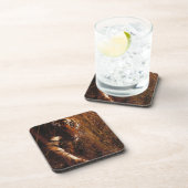 ベンガルトラ コースター (右側)