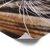 ベンガルトラ、パンテラ・ティグリ ポスター (角)