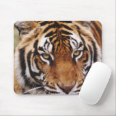 ベンガルトラ、パンテラ・ティグリ マウスパッド (マウス)