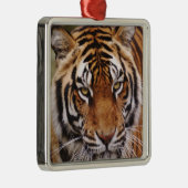ベンガルトラ、パンテラ・ティグリ メタルオーナメント (右)