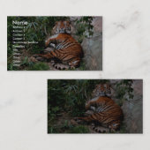 ベンガルトラ 名刺 (正面/裏面)