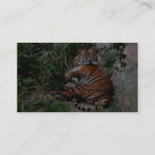 ベンガルトラ 名刺 (裏面)