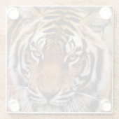 ベンガルトラ, Panthera tigris ガラスコースター (裏面)