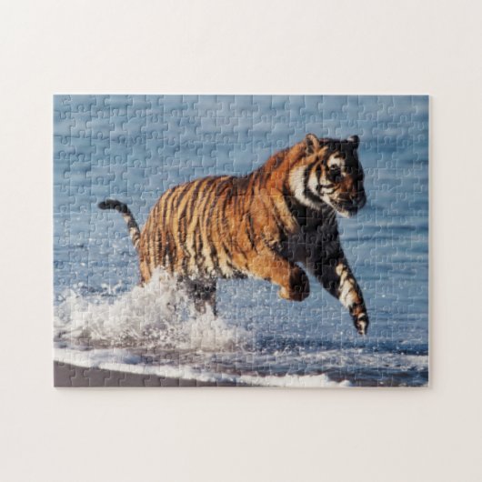 ベンガルトラ (Panthera Tigris) ジグソーパズル (横)