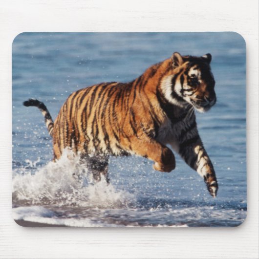 ベンガルトラ (Panthera Tigris) マウスパッド (正面)