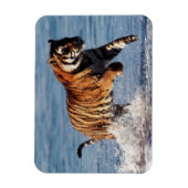 ベンガルトラ (Panthera Tigris) マグネット (縦)