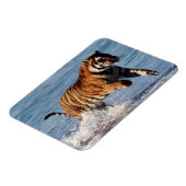 ベンガルトラ (Panthera Tigris) マグネット (左側)