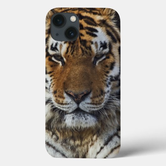 ベンガルトラ, Panthera tigris, ルイビル動物園, Case-Mate iPhoneケース (裏面)