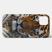 ベンガルトラ, Panthera tigris, ルイビル動物園, Case-Mate iPhoneケース (裏面 (横))