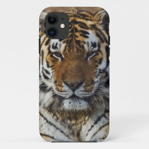 ベンガルトラ, Panthera tigris, ルイビル動物園, iPhone 11 ケース