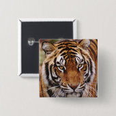 ベンガルトラ, Panthera tigris 缶バッジ (正面&裏面)