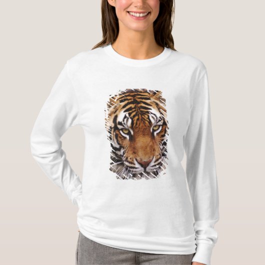 ベンガルトラ, Panthera tigris Tシャツ (正面)