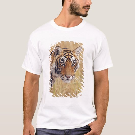ベンガルトラ Tシャツ (正面)