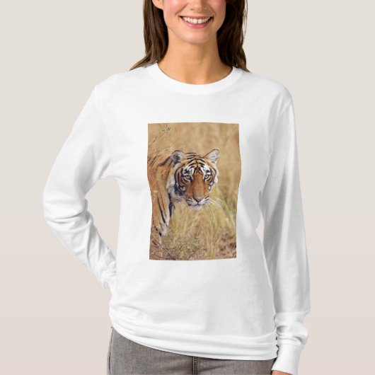 ベンガルトラ Tシャツ (正面)