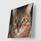 ベンガル凝視猫は、あなた自身のミームを加えます スクエア壁時計 (傾斜)