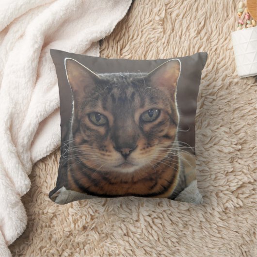 ベンガル愛 クッション (ブランケット)