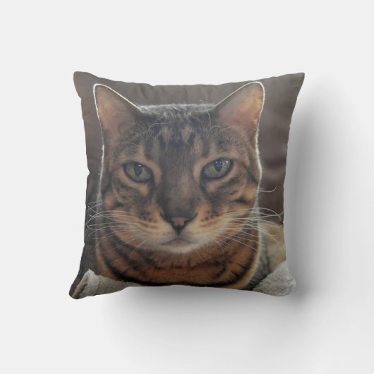 ベンガル愛 クッション (裏面)