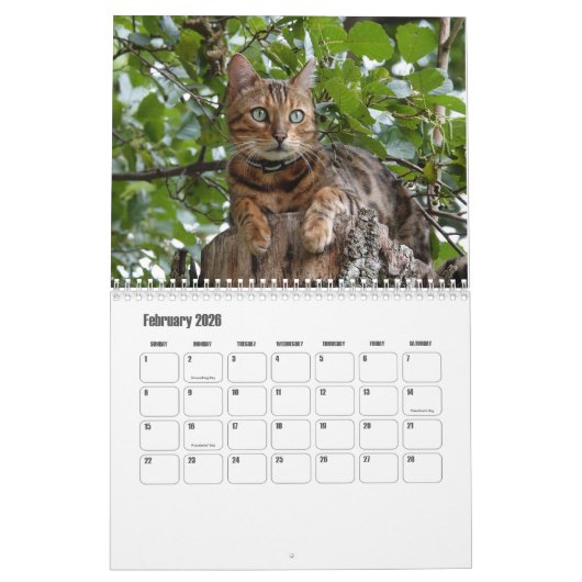 ベンガル暦 カレンダー (2月 2026)