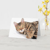 ベンガル猫が横たわって カード (黄色い花)