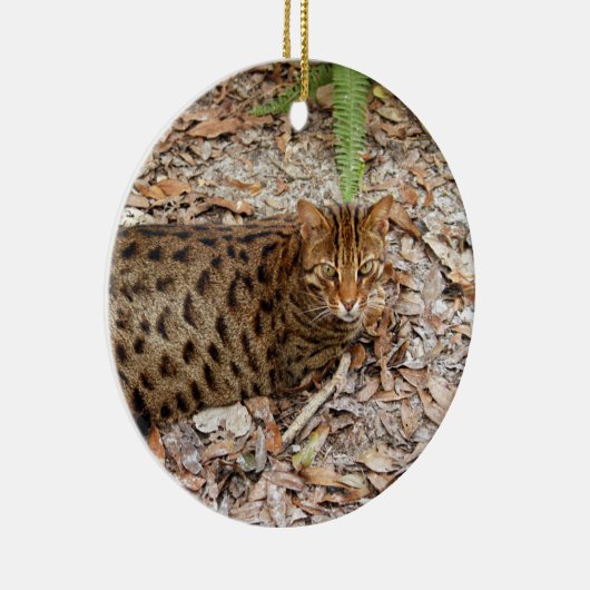 ベンガル猫のクリスマスのオーナメント セラミックオーナメント (右)
