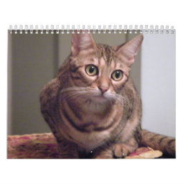 ベンガル猫の年 カレンダー