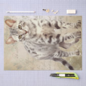 ベンガル猫の水色 薄葉紙 (クラフト)