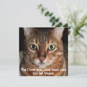 ベンガル猫の顔の写真　「はい、愛してる・・・」 シーズンカード (スタンド正面)