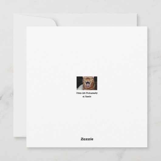 ベンガル猫の顔写真「あなたの誕生日…」 シーズンカード (裏面)