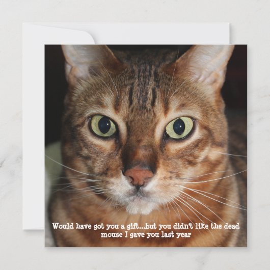 ベンガル猫の顔写真 「プレゼントを買ってあげたかった」 シーズンカード (正面)