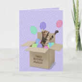 ベンガル猫インボックス水玉模様 カード (正面)