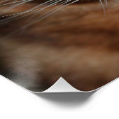 ベンガル猫グロスのポスター、フォトウォールアート ポスター (コーナー)