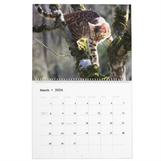 ベンガル猫 カレンダー (3月 2026)