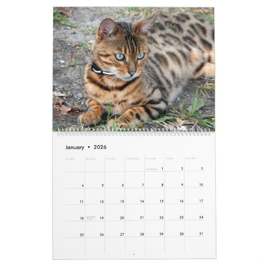 ベンガル猫 カレンダー (1月 2026)