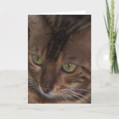 ベンガル猫 - グリーティングカード (正面)
