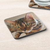 ベンガル猫 コースター (左側)