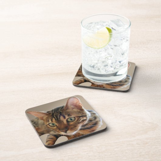 ベンガル猫 コースター (右側)