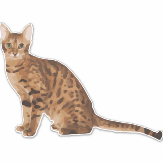 ベンガル猫 シール (正面)