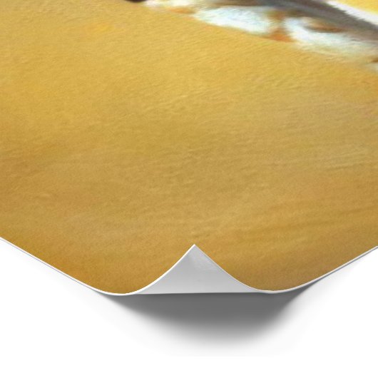 ベンガル猫 ポスター (角)