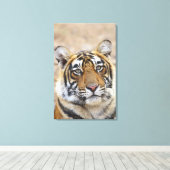 ベンガル王室のタイガーポートレート キャンバスプリント (インサイチュ (ウッドフロア))