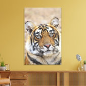 ベンガル王室のタイガーポートレート キャンバスプリント (インサイチュ (リビング))