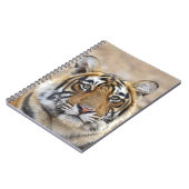 ベンガル王室のタイガーポートレート ノートブック (左側)