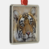 ベンガル王室のタイガーポートレート メタルオーナメント (右)