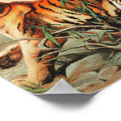 ベンガル王室のタイガーヴィンテージイラストレーション ポスター (角)