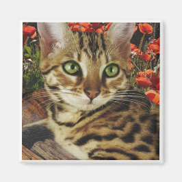 ベンガル磁石 マグネット