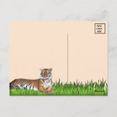 ベンガル間抜けタイガー葉書 ポストカード (裏面)