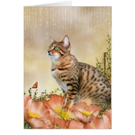 ベンガル雨の日