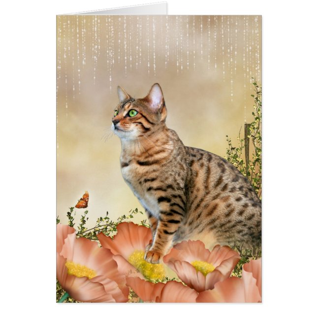 ベンガル雨の日 (正面)