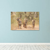 ベンガ王室のルの虎がトラックのランタンホール キャンバスプリント (インサイチュ (ウッドフロア))
